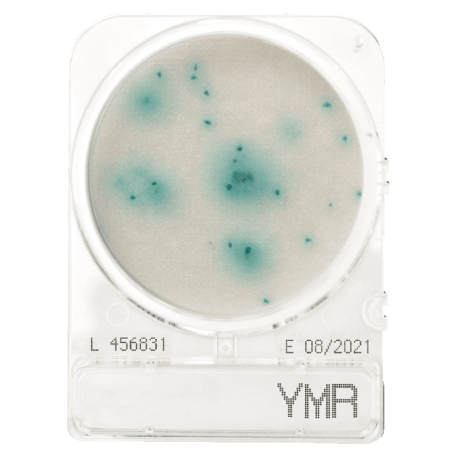 Penész és élesztő meghatározásához, Compact Dry YMR mikrobiológiai gyorsteszt